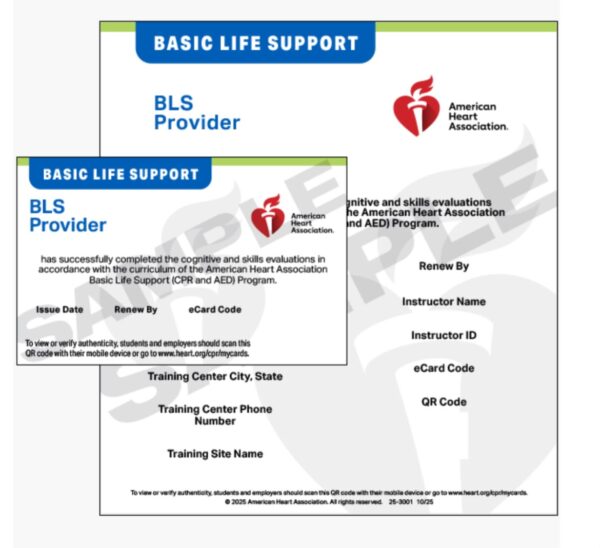 BLS Provider Certification